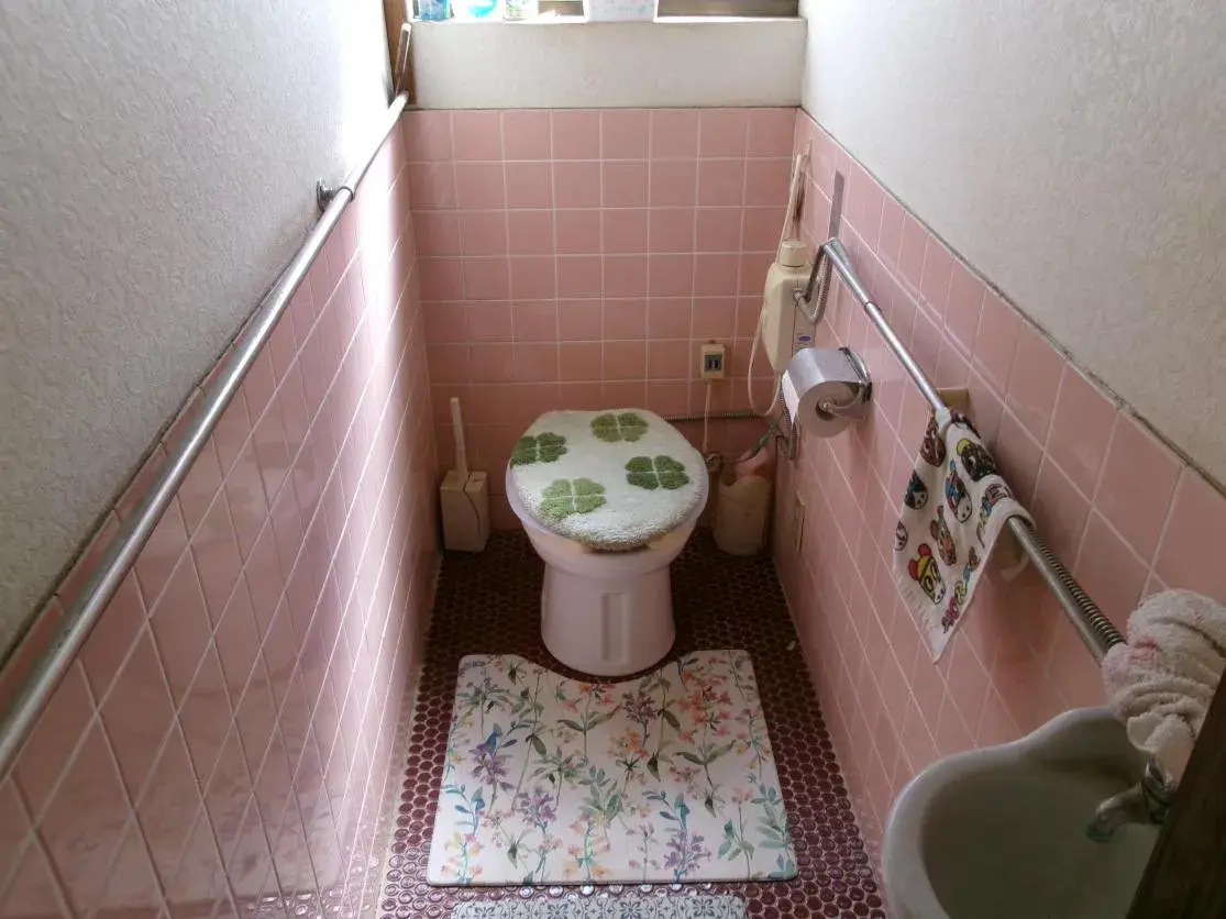 9K Property Annaka City Gunma Prefecture (16)