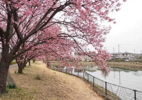 3LDK Property Hiki-gun Namikawa-machi Saitama (7)