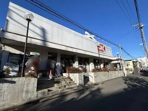 4LDK+S Suginami-ku Tokyo (19)