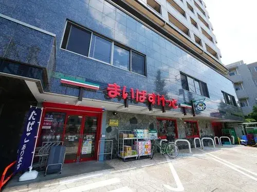 5LDK Property Nerima Ward Tokyo (18)