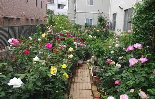 [عقار 2LDK+S] Meguro-ku Tokyo (9)