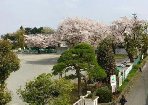 4LDK物件 座間市 神奈川県 (19)