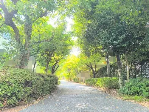 5LDK+S 京都市西京区 京都府 (24)