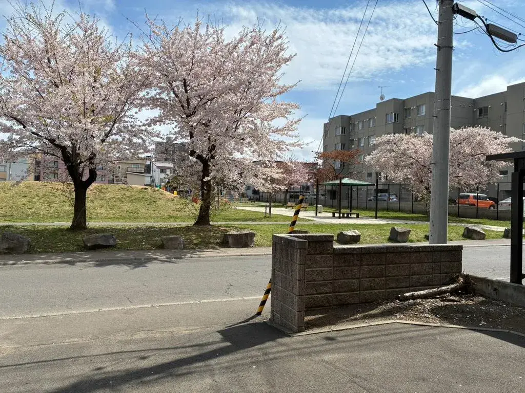 4LDK Property Sapporo City Hokkaido (18)