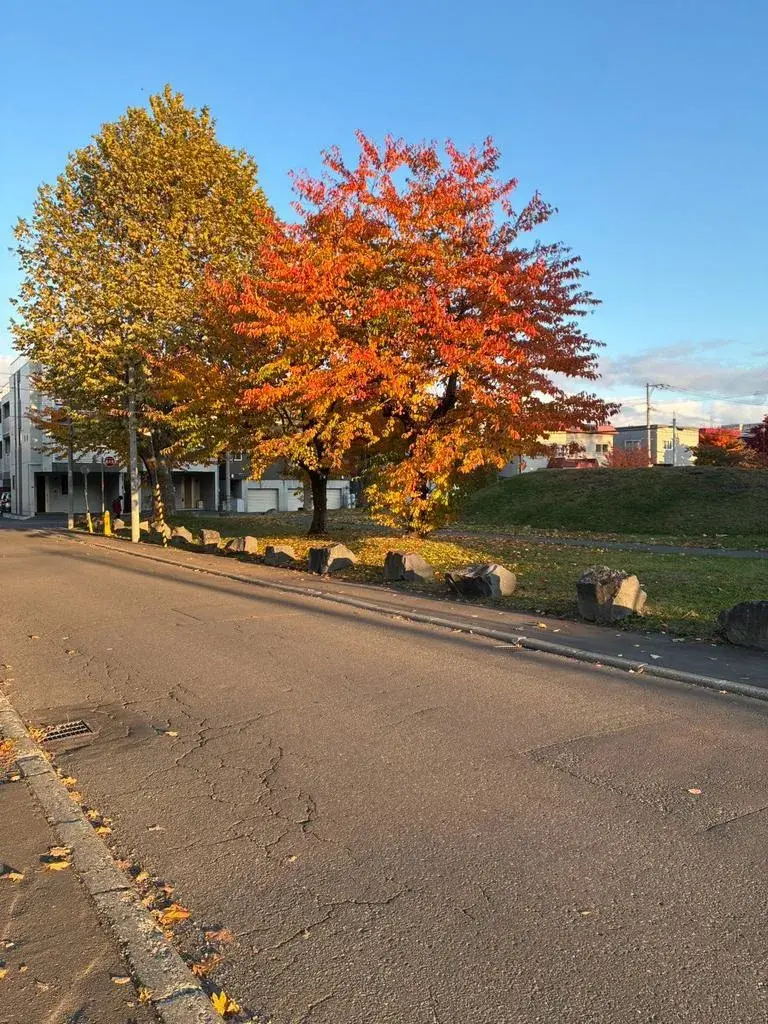 4LDK Property Sapporo City Hokkaido (19)