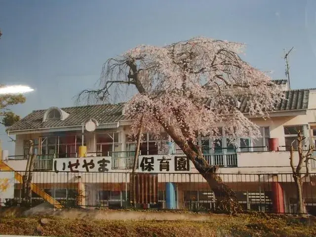 3LDK房产 佐野市 栃木县 (12)