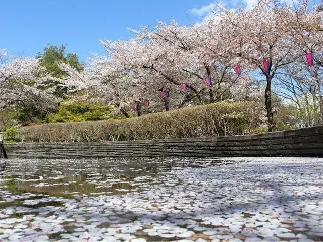 3LDK房产 佐野市 栃木县 (15)