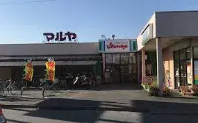 3DK Property Kuki City Saitama (25)