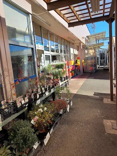 3DK Property Kuki City Saitama (28)