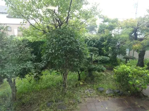 6LDK Chiba City Chiba Prefecture (12)