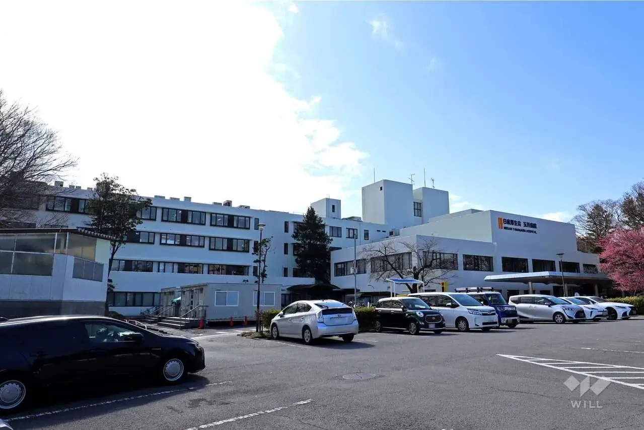 4LDK Property Setagaya Ward Tokyo (4)