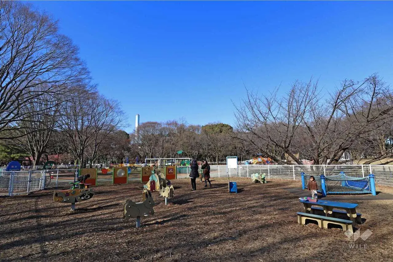 4LDK Property Setagaya Ward Tokyo (5)