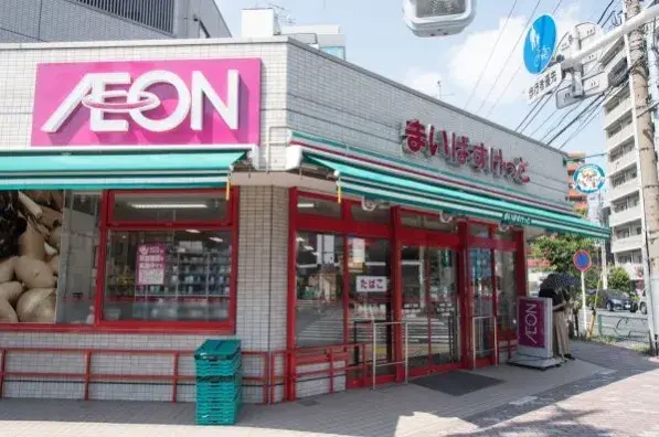 东京都墨田区3DK房产 (2)