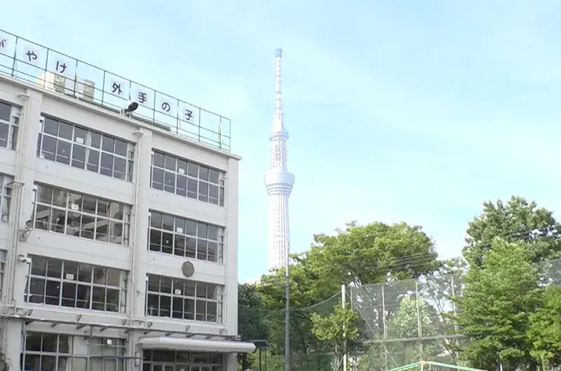 东京都墨田区3DK房产 (7)