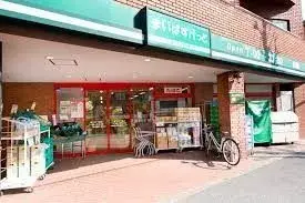 2SLDK Setagaya-ku Tokyo (23)