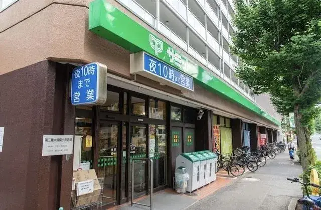 2SLDK Setagaya-ku Tokyo (25)