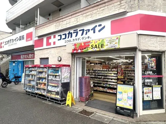 5LDK Setagaya-ku Tokyo (4)