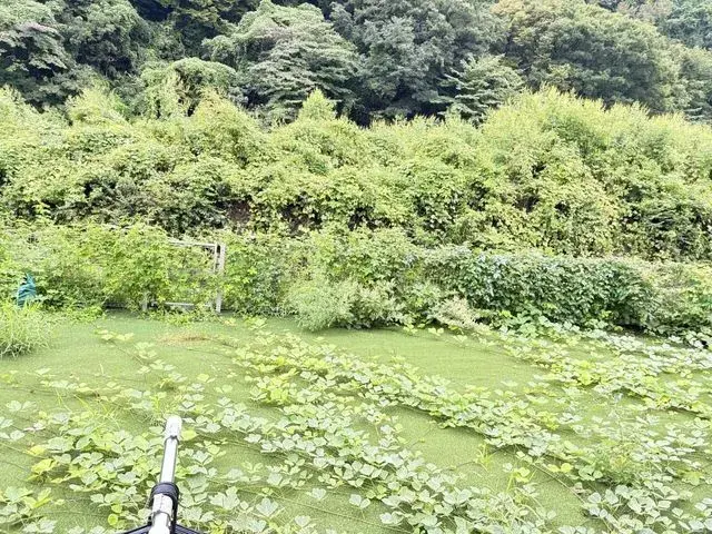 3SLDK Property Odawara City Kanagawa Prefecture (13)