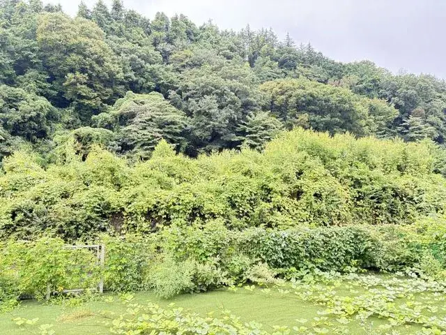 3SLDK Property Odawara City Kanagawa Prefecture (14)
