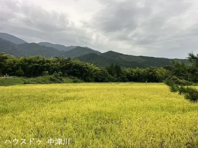 6SDK 中津川市 岐阜県 (23)
