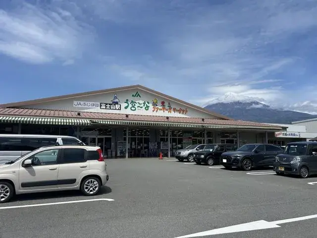 3LDK Fujinomiya City Shizuoka Prefecture (27)