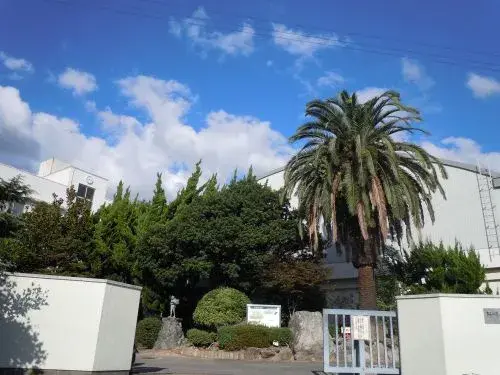 4DK Ciudad de Matsuyama Prefectura de Ehime (6)
