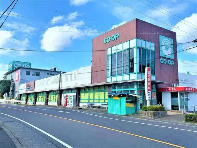 3LDK Kagoshima City Kagoshima Prefecture (24)