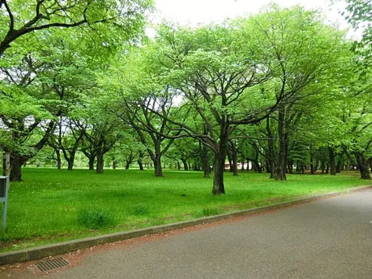 2LDK Property Nishitokyo City Tokyo (22)