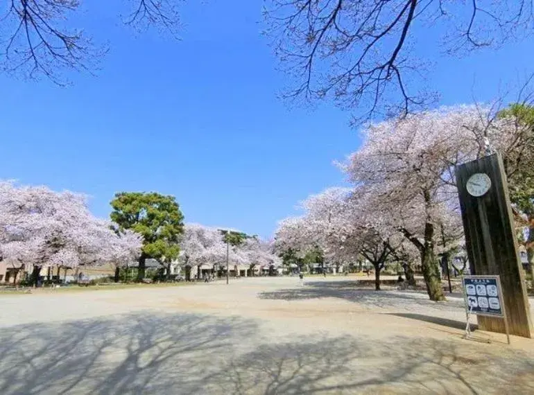 3DK 板橋区 東京都 (13)