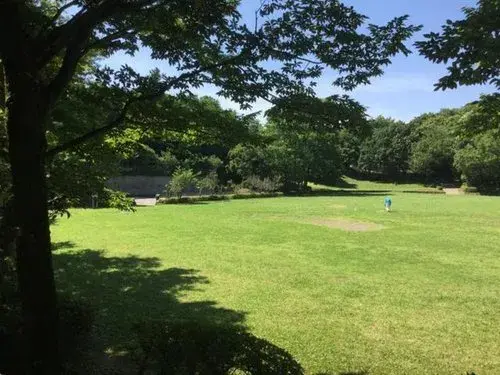 Chiba Prefecture Sakura City 4LDK+S Property (18)