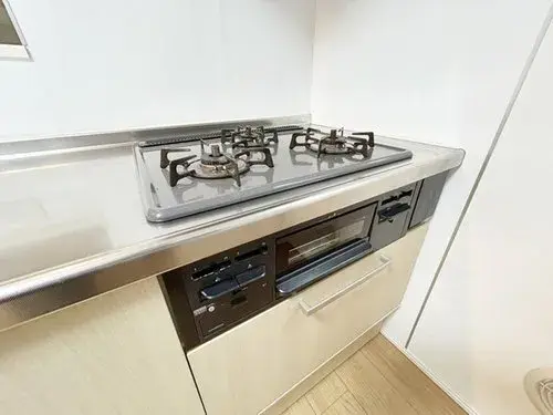 [2LDK+S Property] Edogawa Ward, Tokyo (13)