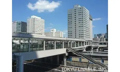 3LDK Property Shinagawa Ward Tokyo (19)