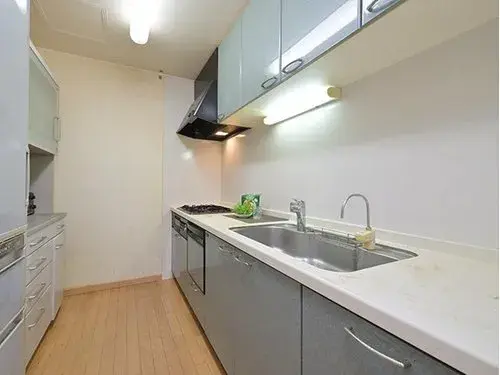Недвижимость 4LDK в районе Сетагая, Токио (15)