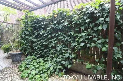 5LDK房产 横滨市都筑区 神奈川县 (19)