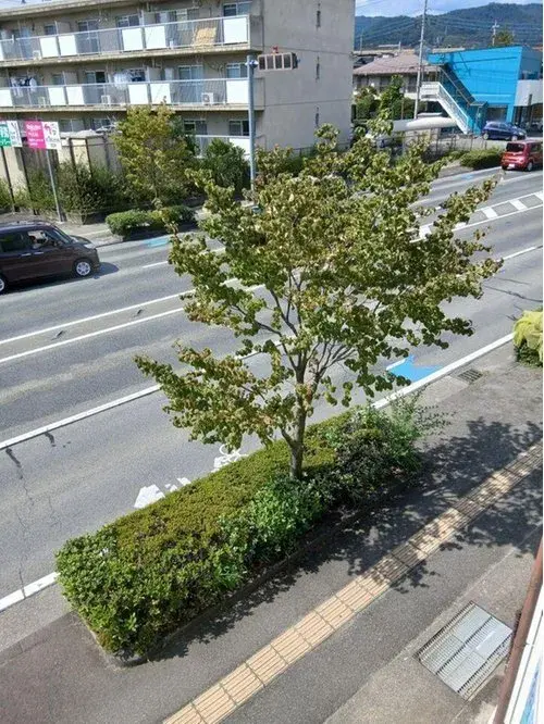 One Room Property Kofu City Yamanashi Prefecture (16)