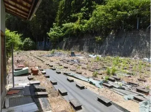 3K Property Hamamatsu City, Tenryu Ward Shizuoka Prefecture (15)