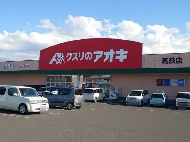 4DK 佐野市 栃木県 (10)