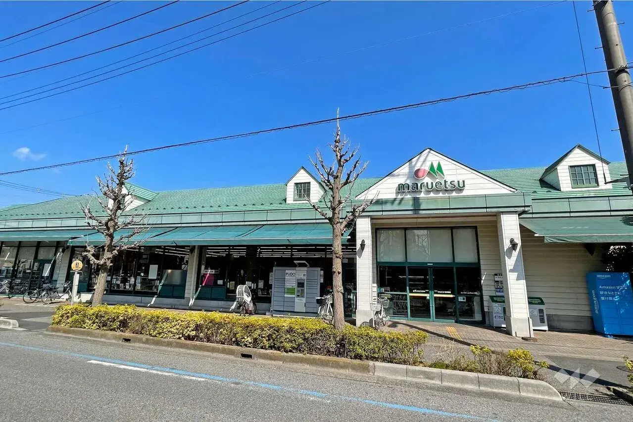 3LDK Property Kawaguchi City Saitama Prefecture (8)