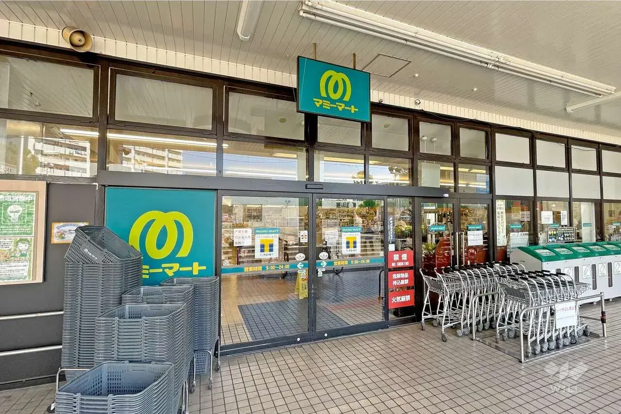 3LDK Property Kawaguchi City Saitama Prefecture (9)