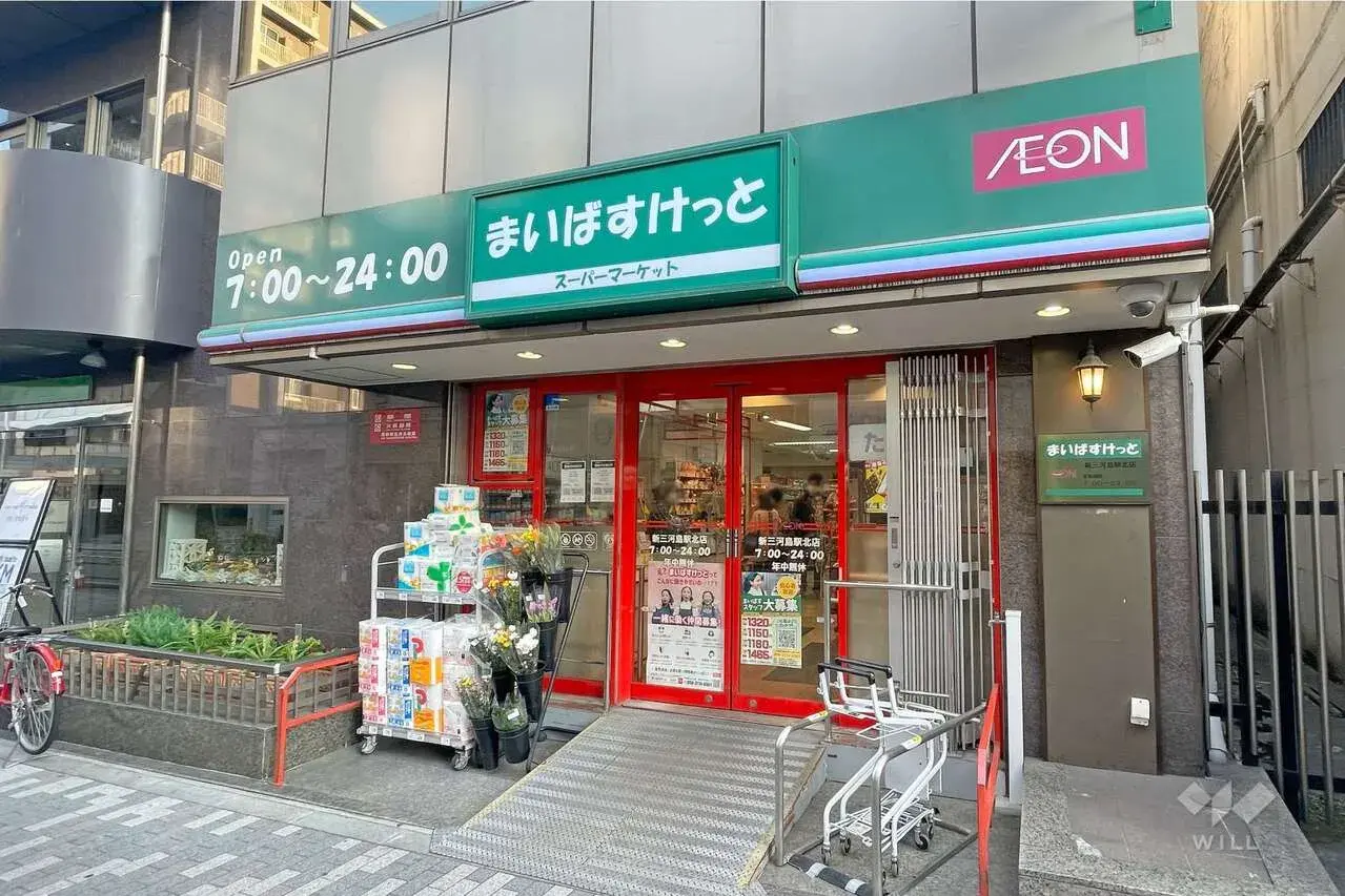3LDK Property Arakawa-ku Tokyo (5)