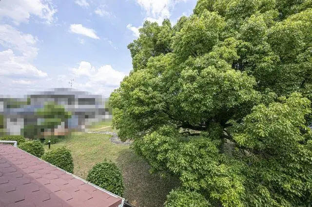 3LDK Property Toyonaka City Osaka Prefecture (16)