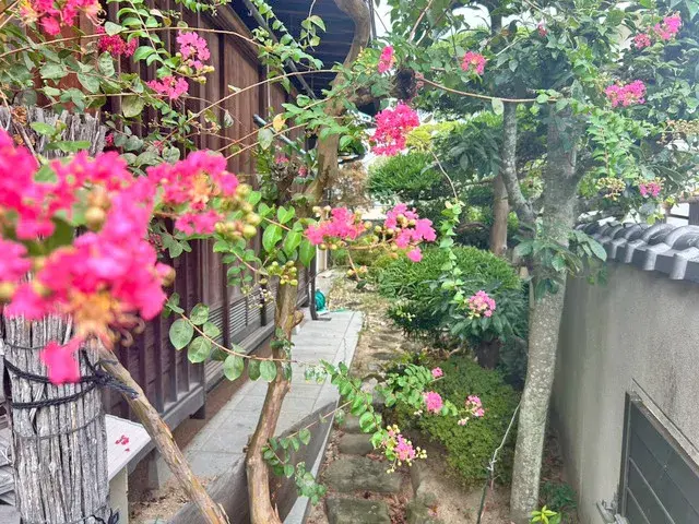 Propriété 5SDK Ville de Sumoto Préfecture de Hyogo (16)