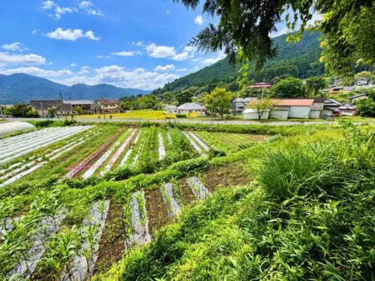 5DK Property Yufu City Oita Prefecture (22)