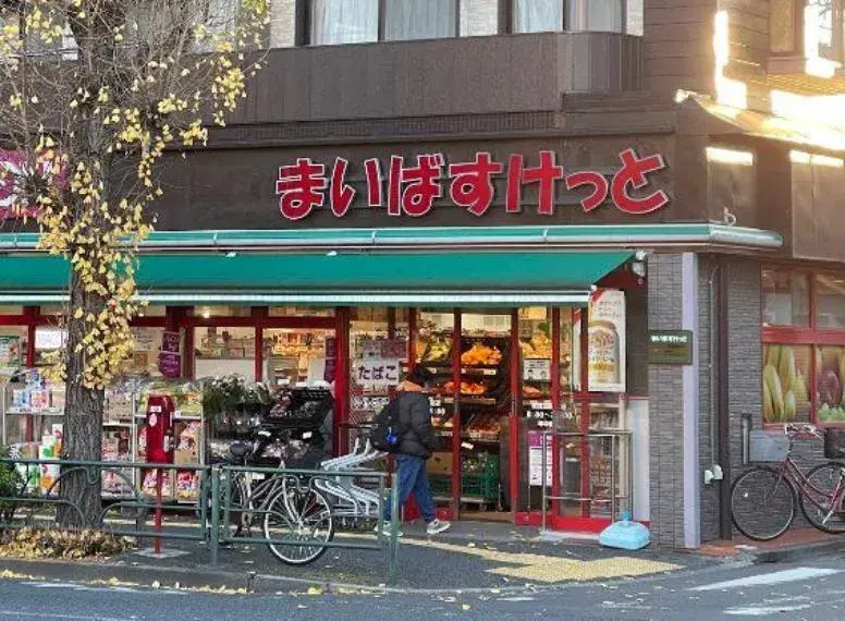 4LDK Property Suginami-ku Tokyo (12)