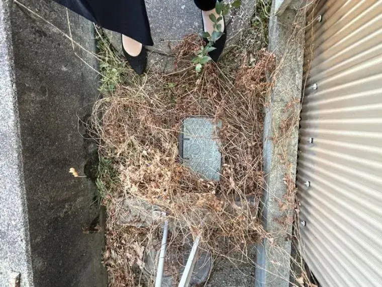 6SDK Ciudad de Shibukawa Prefectura de Gunma (31)
