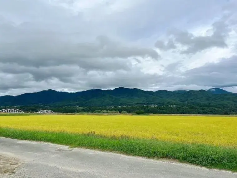 عقار 3SLDK مدينة Komagane محافظة Nagano (24)