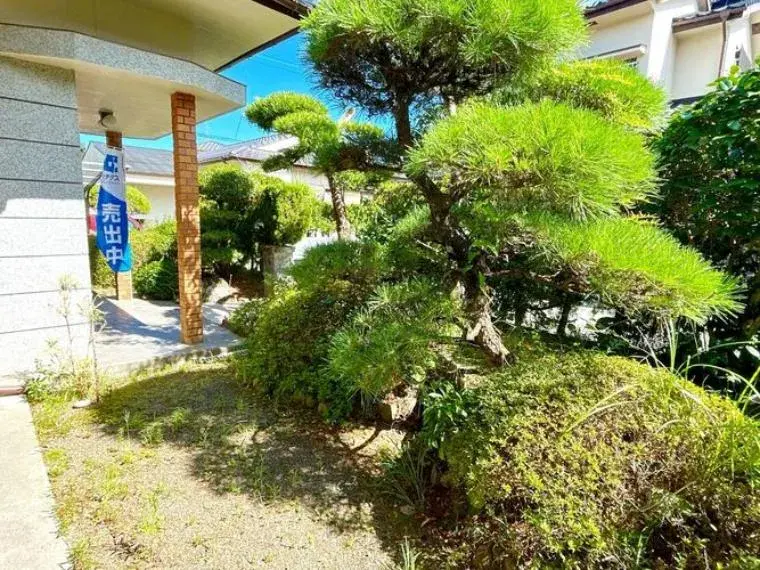 3SLDK物件 鹿児島市 鹿児島県 (6)