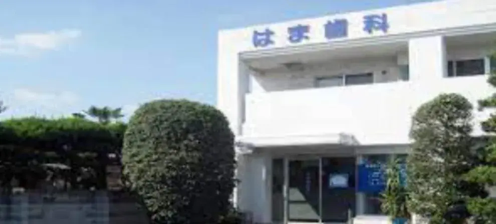 2SDK Property Gyoda City Saitama Prefecture (15)