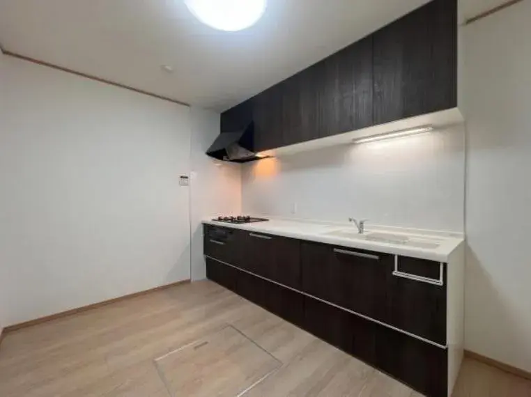 4LDK Ina-machi Saitama (10)