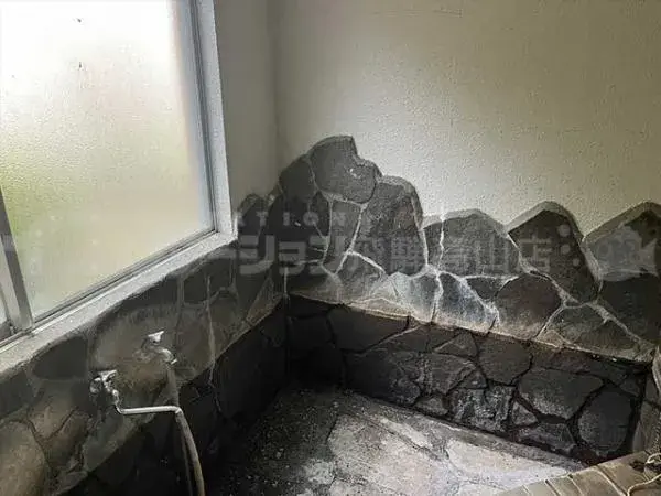 Недвижимость 11К, город Такаяма, префектура Гифу (10)